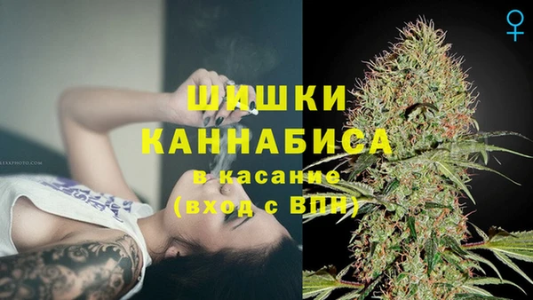 альфа пвп Бородино