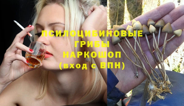 гидропоника Верея