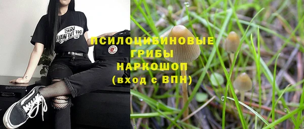 альфа пвп Бородино