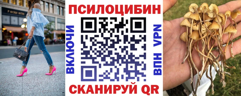 Галлюциногенные грибы мицелий  Купить где  Верхний Тагил 